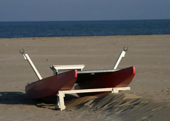 Annarita-mezza Plus- Inclusa 2* Rimini