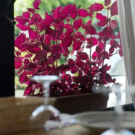 Annarita-mezza Plus- Inclusa ホテル