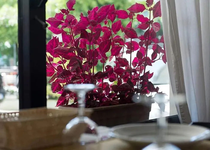 Annarita-mezza Plus- Inclusa Ξενοδοχείο